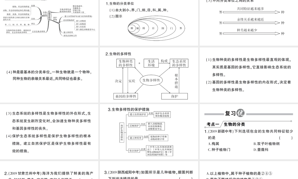 八年级生物上册 第六单元 生物的多样性及其保护总结训练课件 （新版）新人教版-（新版）新人教级上册生物课件
