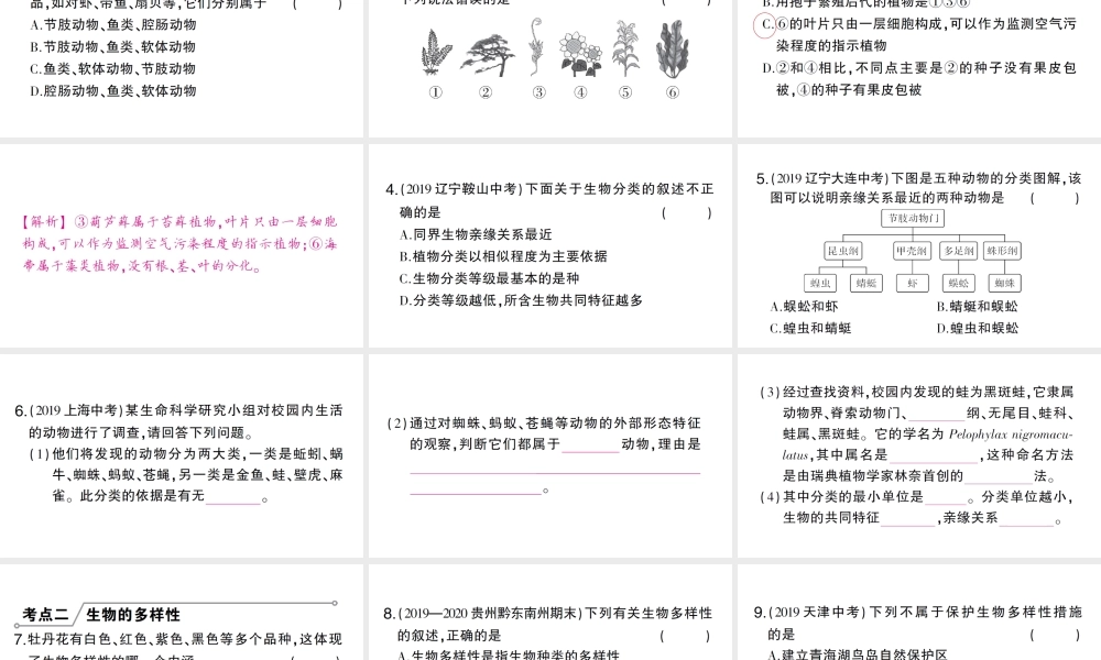 八年级生物上册 第六单元 生物的多样性及其保护总结训练课件 （新版）新人教版-（新版）新人教级上册生物课件