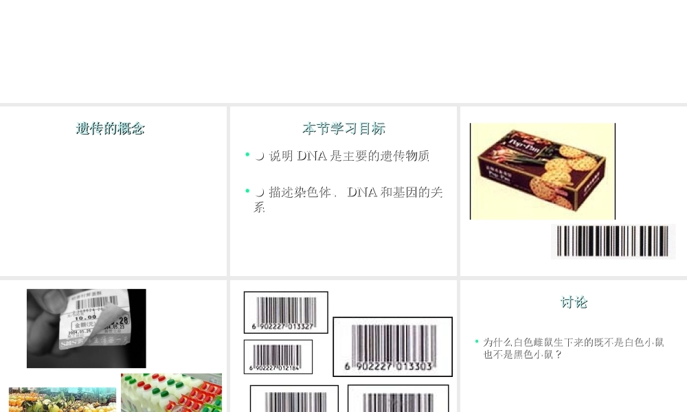 八年级生物上册《DNA是主要的遗传物质》课件 苏教版