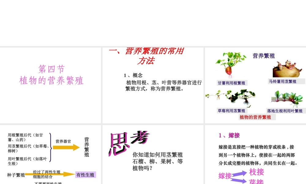 八年级生物上册 第四单元 第一章 第七节 植物的营养繁殖课件 （新版）济南版-（新版）济南级上册生物课件