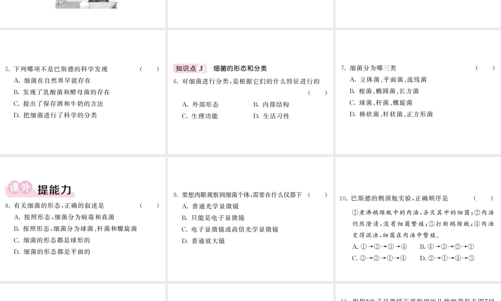 八年级生物上册 第五单元 第四章 第二节 细菌（第1课时 细菌的发现及分类）习题课件 （新版）新人教版-（新版）新人教版初中八年级上册生物课件