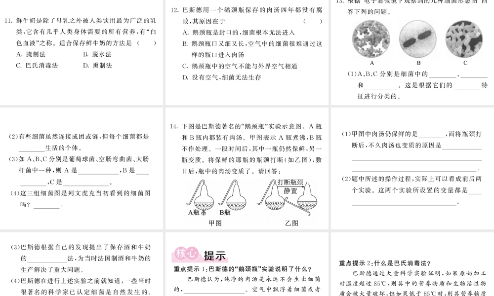 八年级生物上册 第五单元 第四章 第二节 细菌（第1课时 细菌的发现及分类）习题课件 （新版）新人教版-（新版）新人教版初中八年级上册生物课件