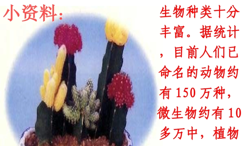 八年级生物上册《第六单元 第一章 第一节 尝试对生物进行分类》课件 （新版）新人教版-（新版）新人教版初中八年级上册生物课件