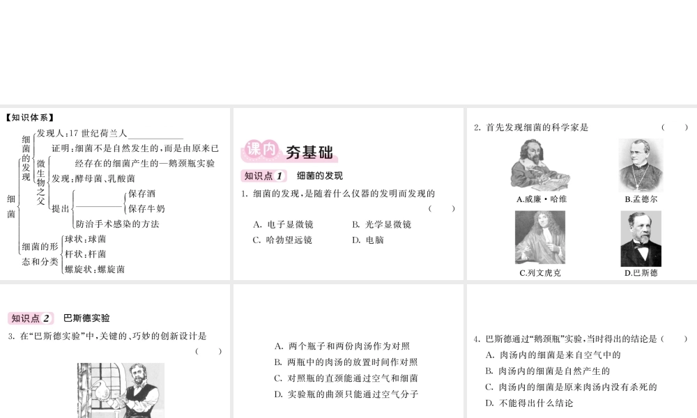 八年级生物上册 第五单元 第四章 第二节 细菌（第1课时 细菌的发现及分类）习题课件 （新版）新人教版-（新版）新人教级上册生物课件