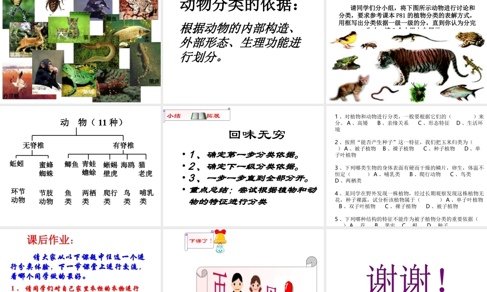 八年级生物上册《第六单元 第一章 第一节 尝试对生物进行分类》课件 （新版）新人教版-（新版）新人教级上册生物课件