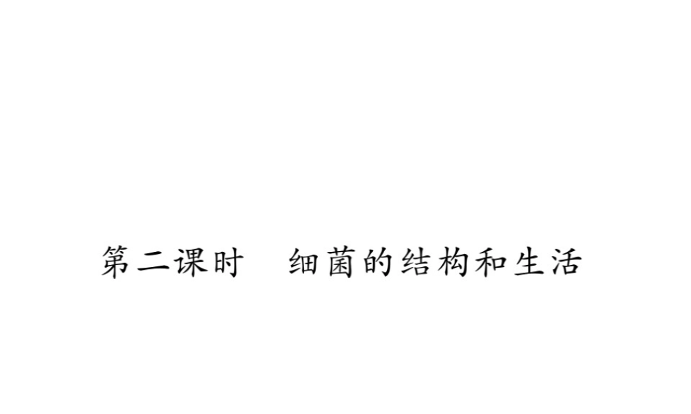 八年级生物上册 第五单元 第四章 第二节 细菌（第2课时 细菌的结构和生活）习题课件 （新版）新人教版-（新版）新人教版初中八年级上册生物课件