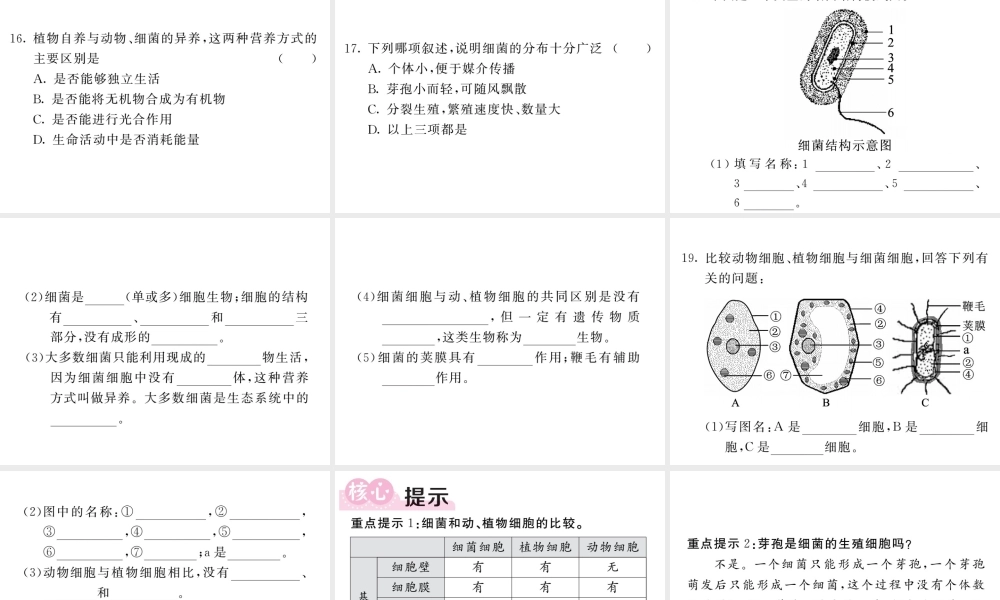 八年级生物上册 第五单元 第四章 第二节 细菌（第2课时 细菌的结构和生活）习题课件 （新版）新人教版-（新版）新人教版初中八年级上册生物课件