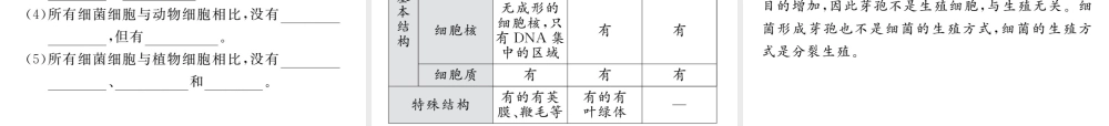 八年级生物上册 第五单元 第四章 第二节 细菌（第2课时 细菌的结构和生活）习题课件 （新版）新人教版-（新版）新人教版初中八年级上册生物课件