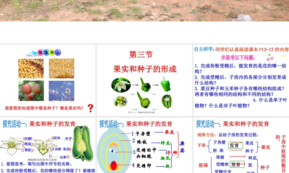 八年级生物上册 第四单元 第一章 第三节 果实和种子的形成课件 （新版）济南版-（新版）济南版初中八年级上册生物课件