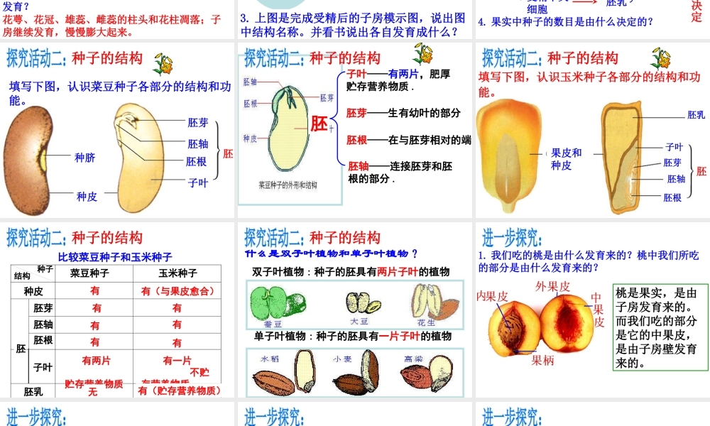 八年级生物上册 第四单元 第一章 第三节 果实和种子的形成课件 （新版）济南版-（新版）济南版初中八年级上册生物课件