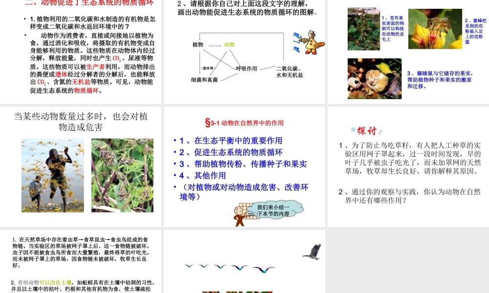 八年级生物上册《第五单元 第三章 动物在生物圈中的作用》课件 （新版）新人教版-（新版）新人教级上册生物课件