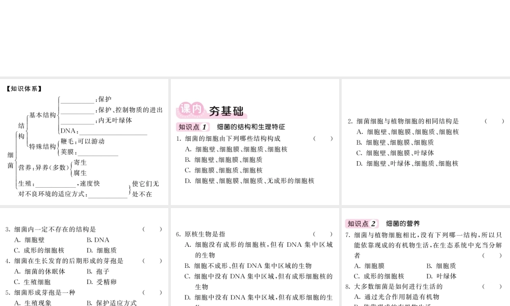 八年级生物上册 第五单元 第四章 第二节 细菌（第2课时 细菌的结构和生活）习题课件 （新版）新人教版-（新版）新人教级上册生物课件