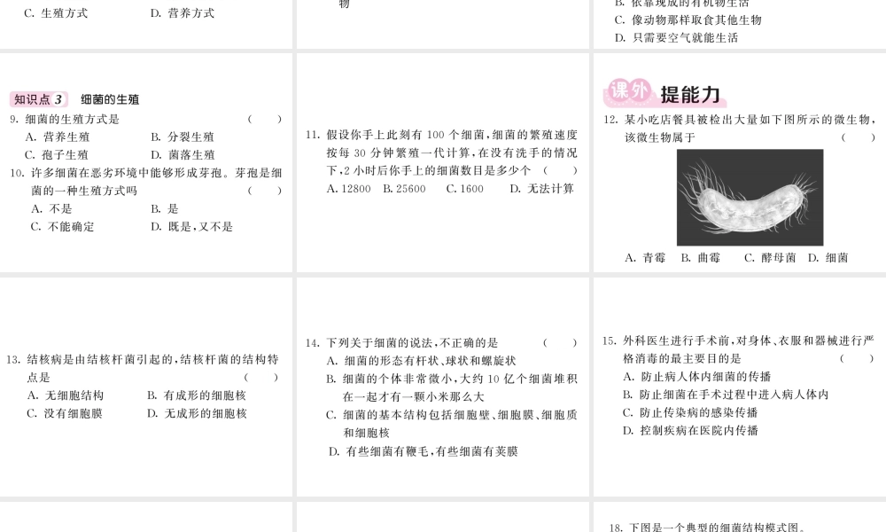 八年级生物上册 第五单元 第四章 第二节 细菌（第2课时 细菌的结构和生活）习题课件 （新版）新人教版-（新版）新人教级上册生物课件