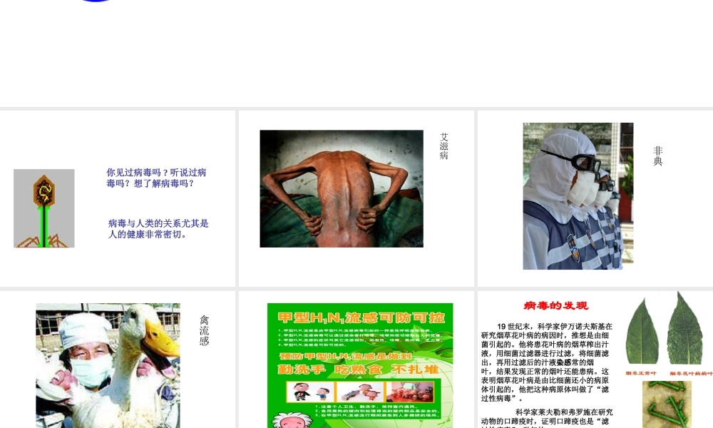 八年级生物上册《第五单元 第五章 病毒》课件 （新版）新人教版-（新版）新人教版初中八年级上册生物课件