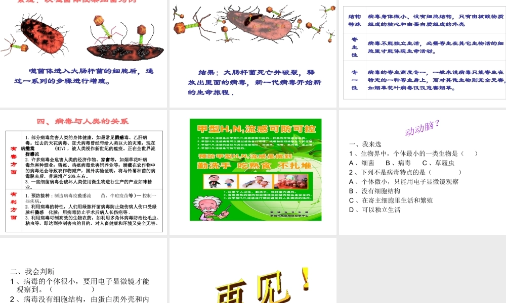 八年级生物上册《第五单元 第五章 病毒》课件 （新版）新人教版-（新版）新人教版初中八年级上册生物课件