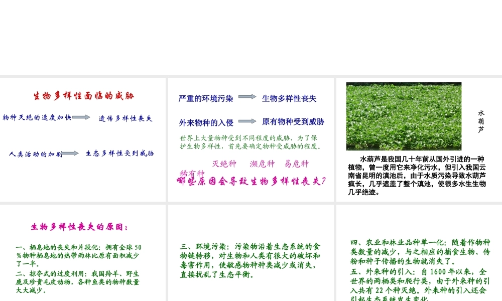 八年级生物上册 第五单元 第十五章 第二节 保护生物多样性的艰巨使命课件2 （新版）苏教版-（新版）苏教级上册生物课件