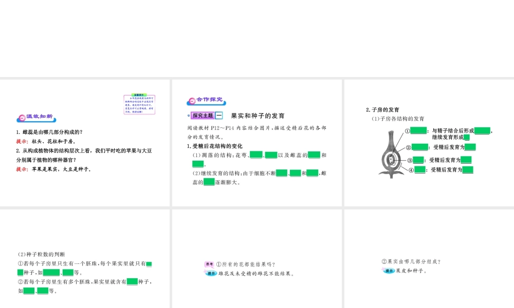 八年级生物上册 第四单元 第一章 第三节 果实和种子的形成课件 济南版