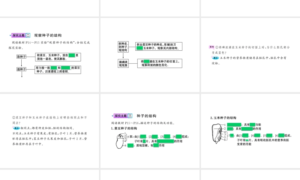八年级生物上册 第四单元 第一章 第三节 果实和种子的形成课件 济南版