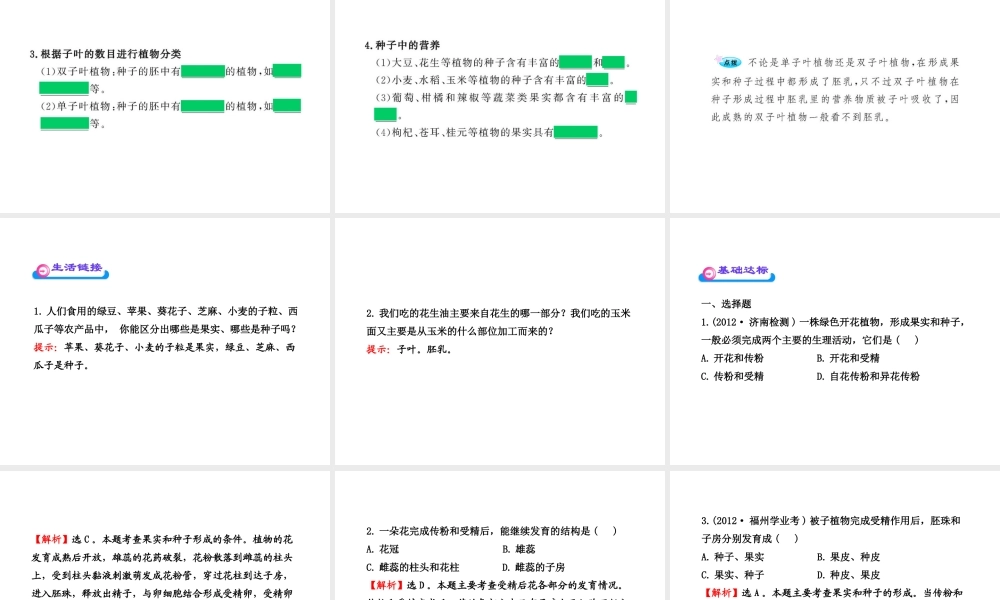 八年级生物上册 第四单元 第一章 第三节 果实和种子的形成课件 济南版