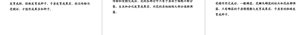 八年级生物上册 第四单元 第一章 第三节 果实和种子的形成课件 济南版