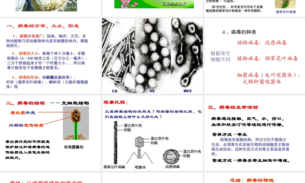 八年级生物上册《第五单元 第五章 病毒》课件 （新版）新人教版-（新版）新人教级上册生物课件