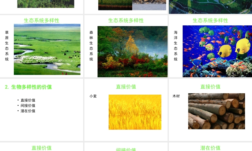 八年级生物上册 第五单元 第十五章 第一节 生物多样性课件1 （新版）苏教版-（新版）苏教版初中八年级上册生物课件