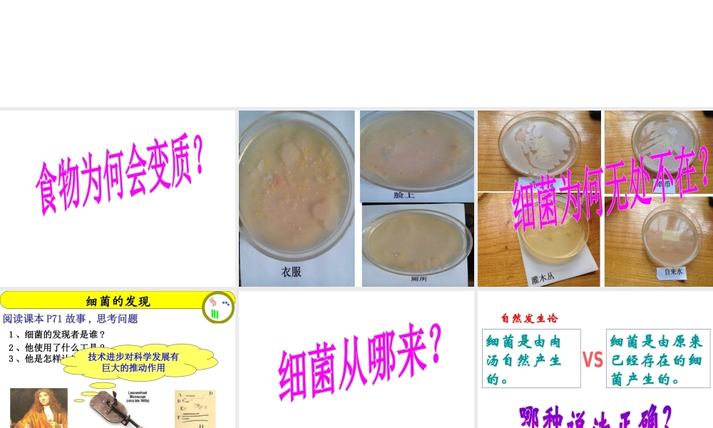 八年级生物上册 第五单元 第四章 第二节 细菌教学课件 （新版）新人教版-（新版）新人教级上册生物课件