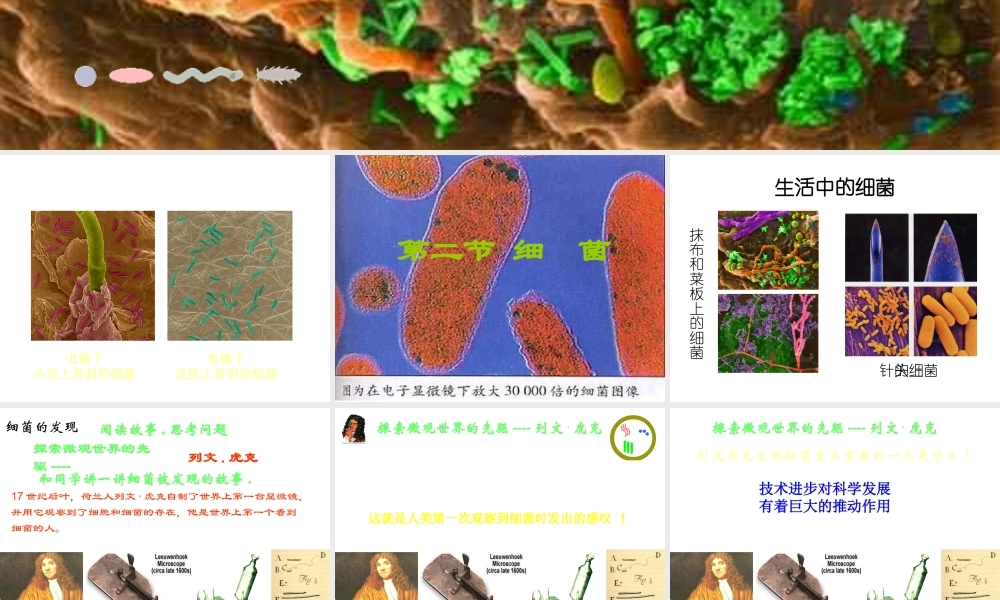 八年级生物上册 第五单元 第四章 第二节 细菌课件 （新版）新人教版-（新版）新人教版初中八年级上册生物课件