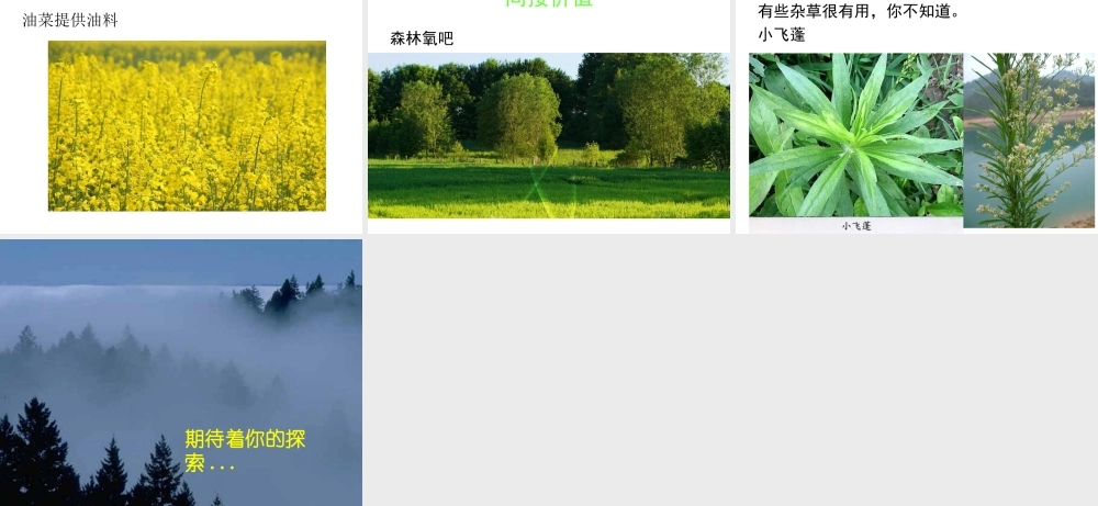 八年级生物上册 第五单元 第十五章 第一节 生物多样性课件1 （新版）苏教版-（新版）苏教级上册生物课件