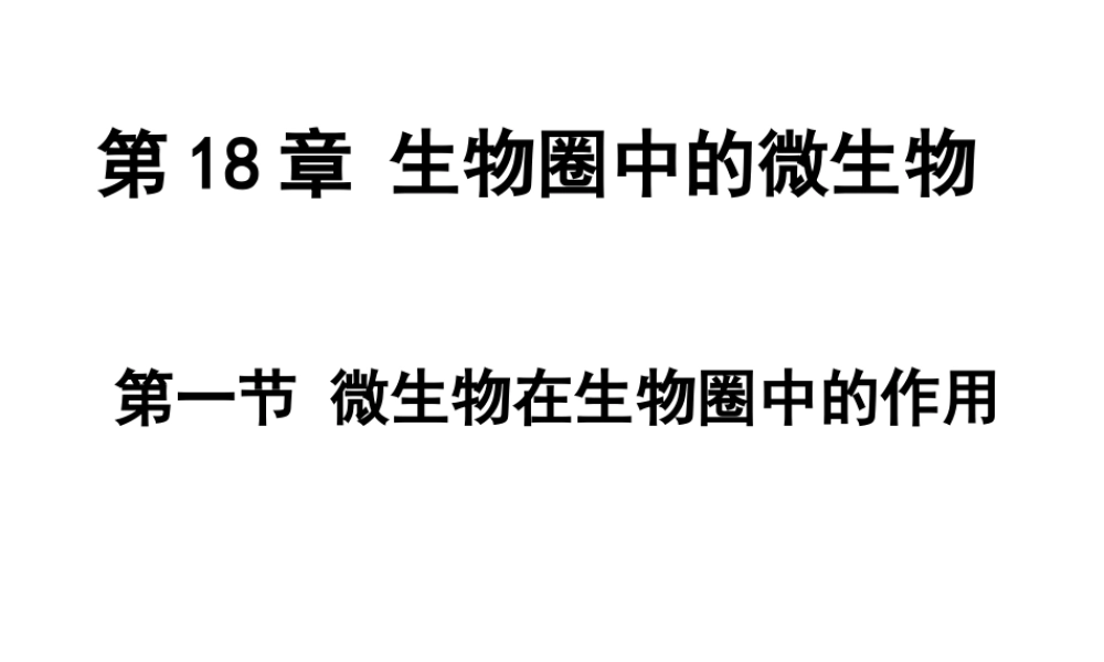 八年级生物上册 第十八章 第一节 微生物在生物圈中的作用课件 北师大版