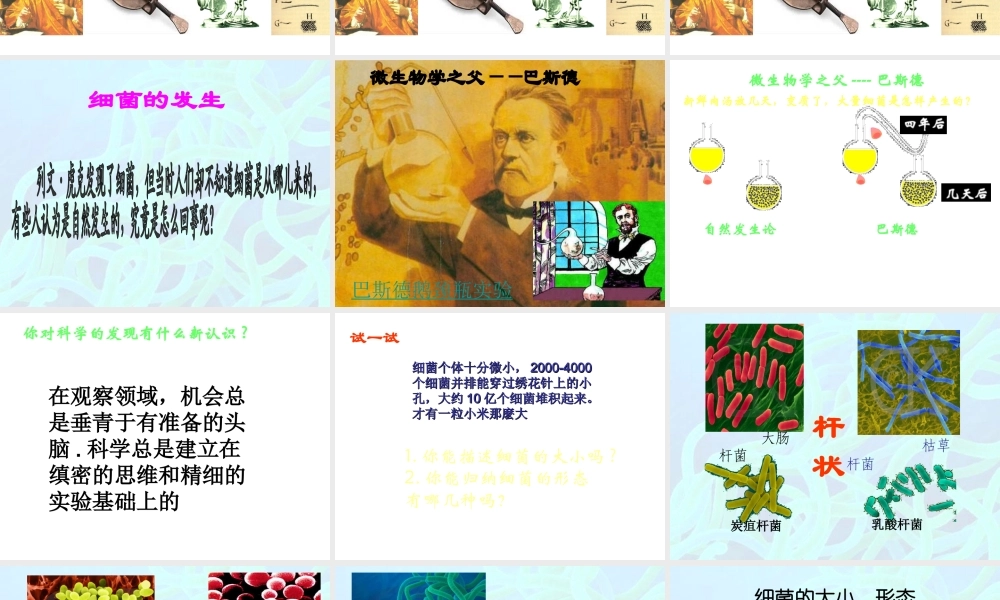 八年级生物上册 第五单元 第四章 第二节 细菌课件 （新版）新人教版-（新版）新人教级上册生物课件