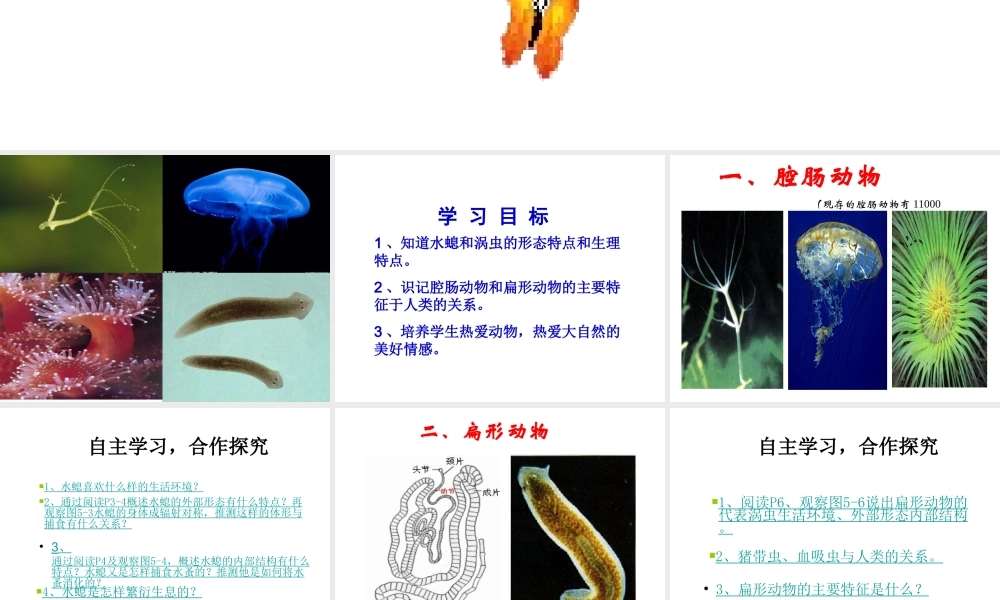 八年级生物上册《第五单元 第一章 动物的主要类群》课件 （新版）新人教版-（新版）新人教版初中八年级上册生物课件