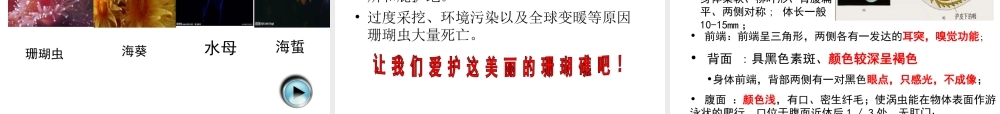 八年级生物上册《第五单元 第一章 动物的主要类群》课件 （新版）新人教版-（新版）新人教版初中八年级上册生物课件