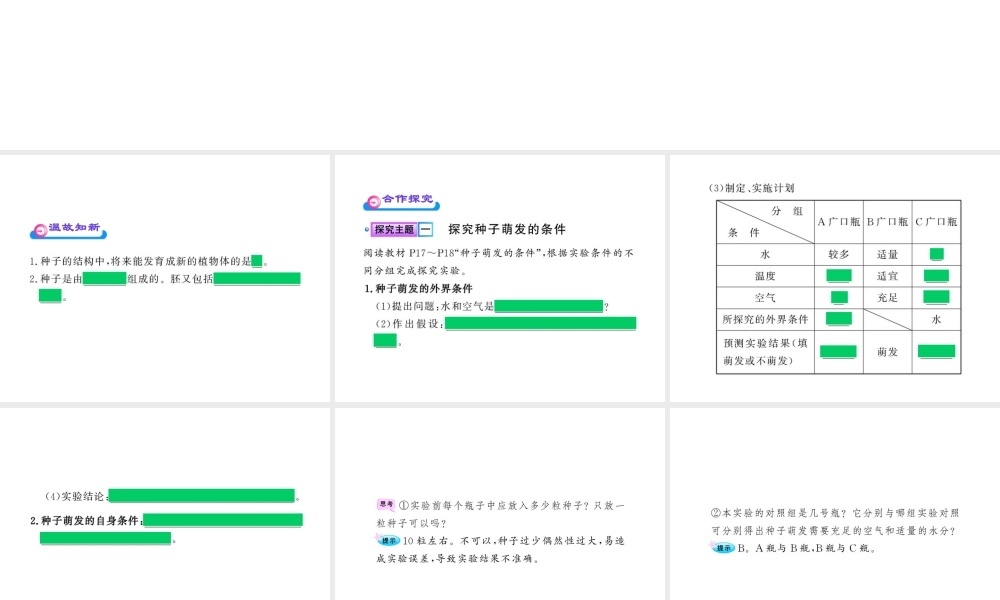八年级生物上册 第四单元 第一章 第四节 种子的萌发课件 济南版