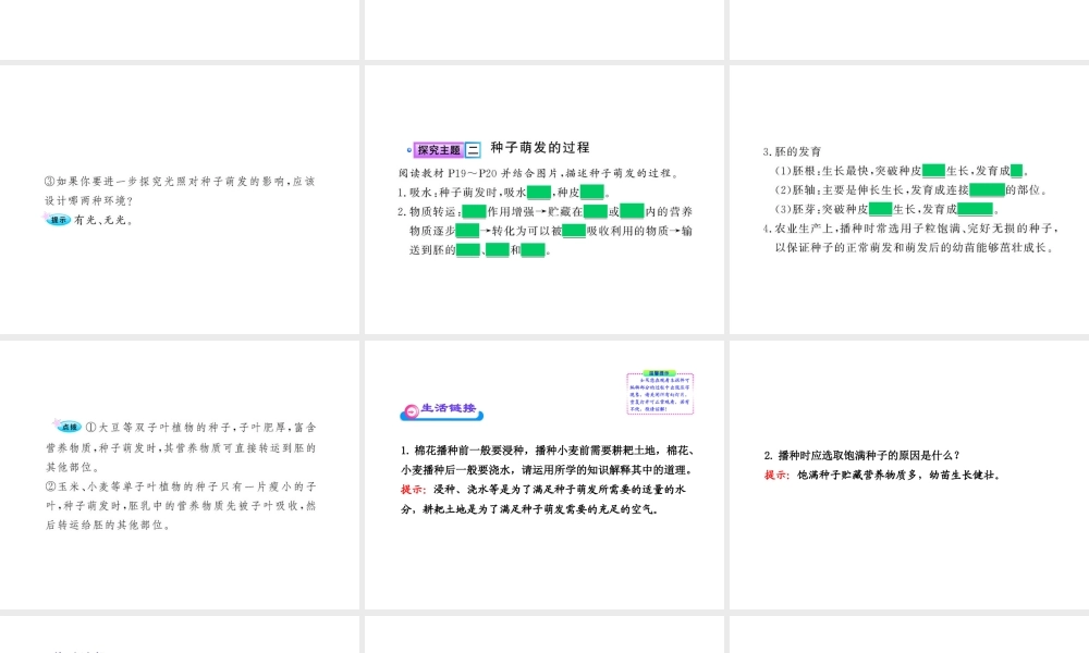八年级生物上册 第四单元 第一章 第四节 种子的萌发课件 济南版