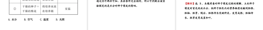 八年级生物上册 第四单元 第一章 第四节 种子的萌发课件 济南版
