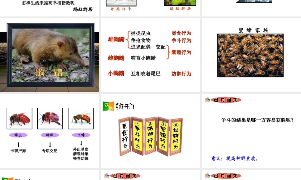 八年级生物上册 第十八章 第一节动物行为的主要类型课件 （新版）苏教版-（新版）苏教版初中八年级上册生物课件