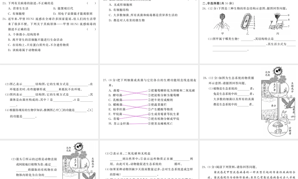 八年级生物上册 第五单元 第四 五章综合检测习题课件 （新版）新人教版-（新版）新人教版初中八年级上册生物课件