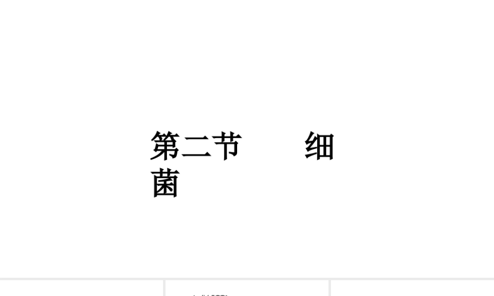 八年级生物上册 第五单元 第四章 第二节 细菌课件课件 （新版）新人教版-（新版）新人教版初中八年级上册生物课件