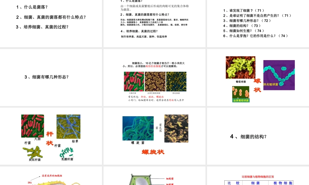 八年级生物上册 第五单元 第四章 第二节 细菌课件课件 （新版）新人教版-（新版）新人教版初中八年级上册生物课件
