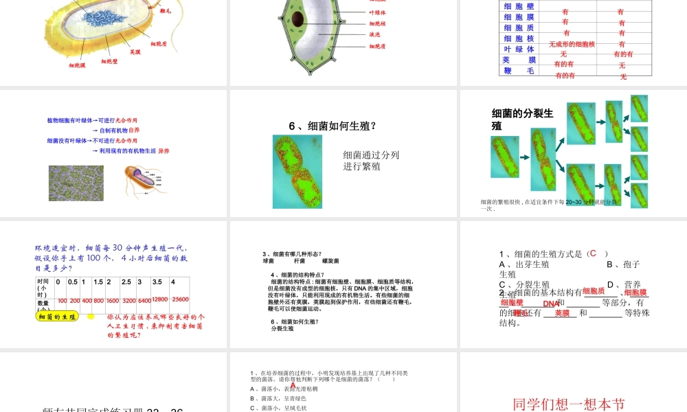 八年级生物上册 第五单元 第四章 第二节 细菌课件课件 （新版）新人教版-（新版）新人教版初中八年级上册生物课件