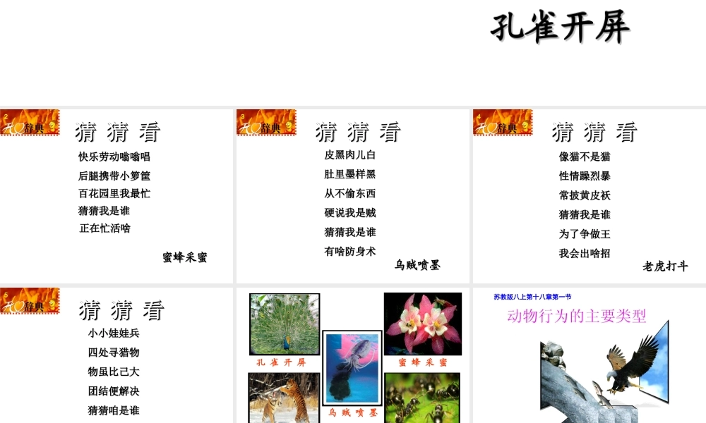 八年级生物上册 第十八章 第一节动物行为的主要类型课件 （新版）苏教版-（新版）苏教级上册生物课件