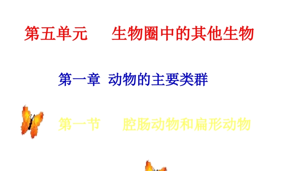 八年级生物上册《第五单元 第一章 动物的主要类群》课件 （新版）新人教版-（新版）新人教级上册生物课件