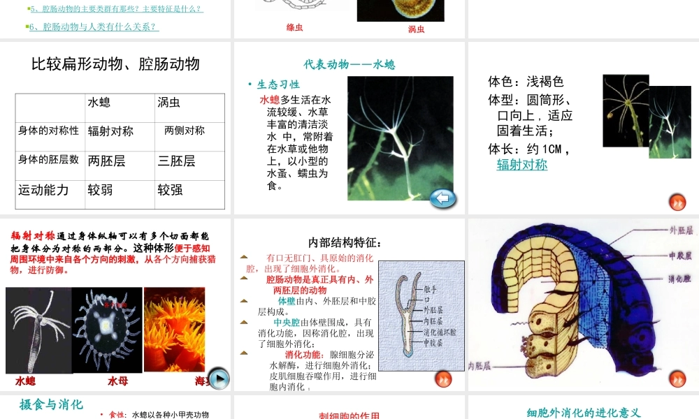 八年级生物上册《第五单元 第一章 动物的主要类群》课件 （新版）新人教版-（新版）新人教级上册生物课件