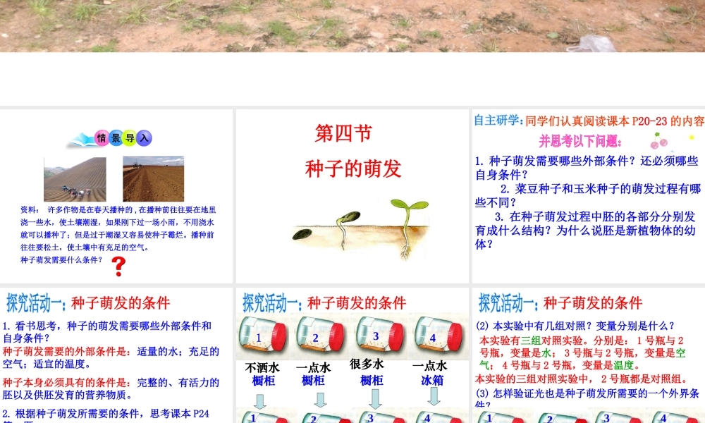 八年级生物上册 第四单元 第一章 第四节 种子的萌发课件（1）（新版）济南版-（新版）济南级上册生物课件