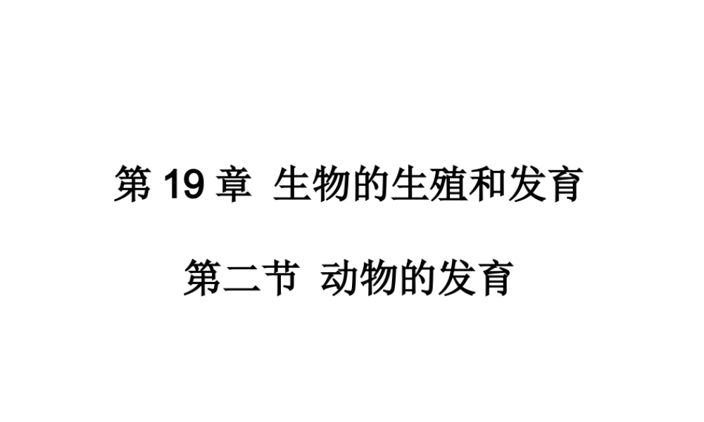 八年级生物上册《动物的发育》课件1 苏科版
