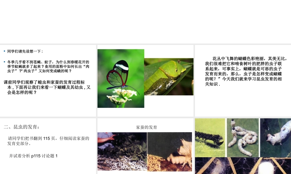 八年级生物上册《动物的发育》课件1 苏科版