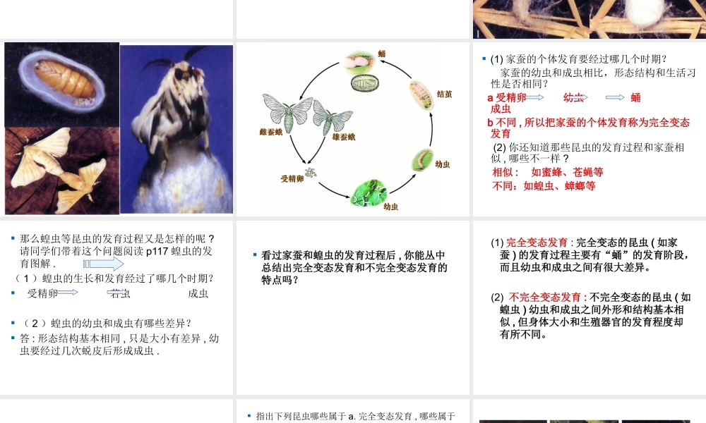 八年级生物上册《动物的发育》课件1 苏科版