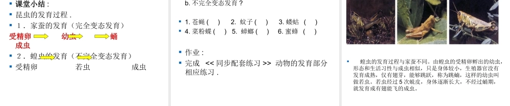 八年级生物上册《动物的发育》课件1 苏科版