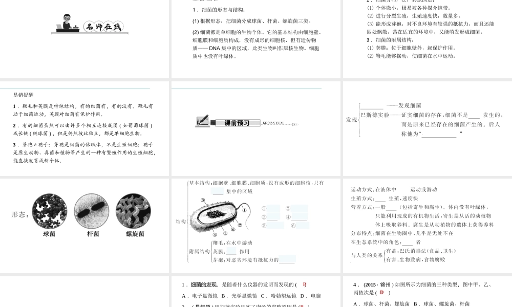 八年级生物上册 第五单元 第四章 第二节 细菌习题课件 （新版）新人教版-（新版）新人教版初中八年级上册生物课件